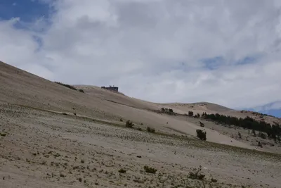 DSC_3105 (Large).JPG